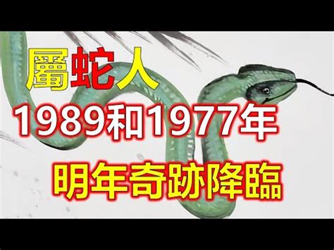 1989屬蛇